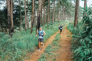 BIB: 
                            <button type="button" onclick="openModal(25681058)" class="btn btn-primary btn-sm float-right btn-popup" data-toggle="modal" data-target=".modal-high-quality">
                        <i class="fas fa-shopping-cart"></i> Add to Cart
                    </button>
                                            <button type="button" onclick="isThisMe(25681058, true)" class="btn btn-success btn-sm float-right btn-popup btn-isme hidden" data-toggle="tooltip" data-placement="bottom" title="นี่คือรูปของคุณใช่ไหม คลิกที่นี่เพื่อเอาเข้าอัลบั้ม">
                        <i class="fas fa-plus"></i> Add to album
                    </button>
                    <button type="button" onclick="isThisMe(25681058, false)" class="btn btn-warning btn-sm float-right btn-popup btn-isnotme hidden">
                        <i class="fas fa-ban"></i> Remove from album
                    </button>